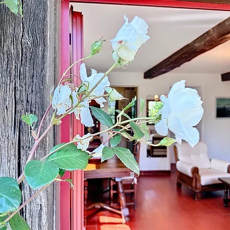 Le Jardin Des Roses Yourhosthelper 펜션
